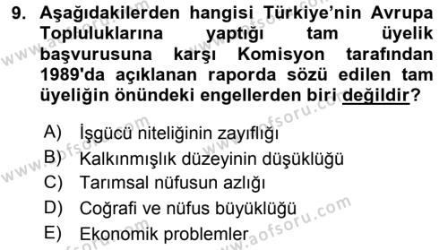 Avrupa Birliği ve Türkiye İlişkileri Dersi 2023 - 2024 Yılı Yaz Okulu Sınavı 9. Soru