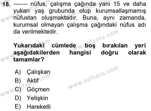 Ekonominin Güncel Sorunları Dersi 2020 - 2021 Yılı Yaz Okulu Sınavı 18. Soru