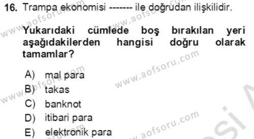 Ekonominin Güncel Sorunları Dersi 2021 - 2022 Yılı (Vize) Ara Sınavı 16. Soru