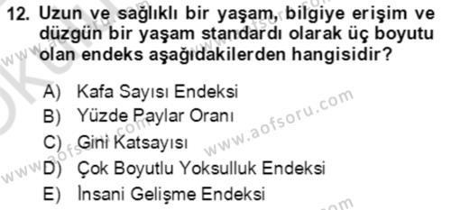 Ekonominin Güncel Sorunları Dersi 2021 - 2022 Yılı Yaz Okulu Sınavı 12. Soru