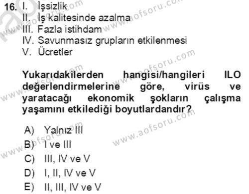 Ekonominin Güncel Sorunları Dersi 2021 - 2022 Yılı Yaz Okulu Sınavı 16. Soru