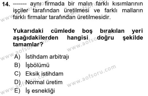 İktisadi Büyüme Dersi 2021 - 2022 Yılı (Vize) Ara Sınavı 14. Soru