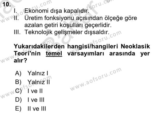 İktisadi Büyüme Dersi 2021 - 2022 Yılı (Final) Dönem Sonu Sınavı 10. Soru