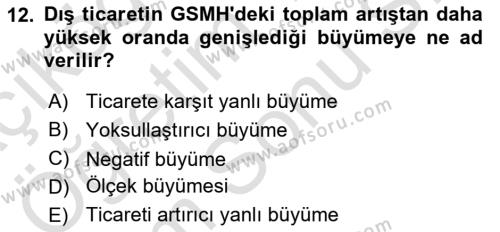 İktisadi Büyüme Dersi 2021 - 2022 Yılı (Final) Dönem Sonu Sınavı 12. Soru