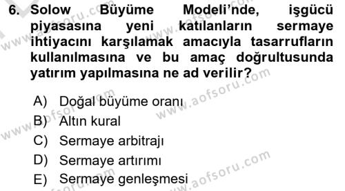 İktisadi Büyüme Dersi 2021 - 2022 Yılı (Final) Dönem Sonu Sınavı 6. Soru