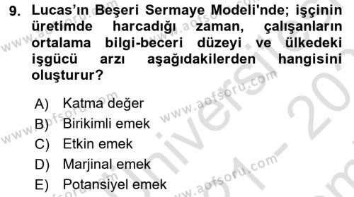 İktisadi Büyüme Dersi 2021 - 2022 Yılı (Final) Dönem Sonu Sınavı 9. Soru