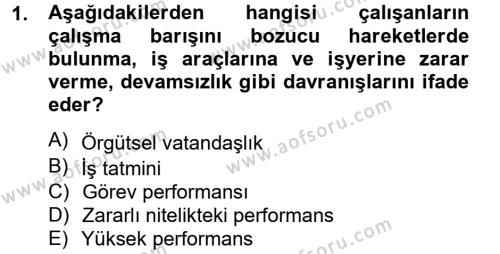 Performans Yönetimi Dersi 2012 - 2013 Yılı (Vize) Ara Sınavı 1. Soru
