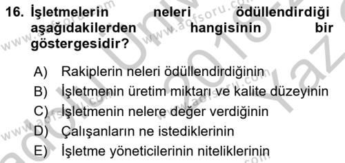 Ücret ve Ödül Yönetimi Dersi 2018 - 2019 Yılı Yaz Okulu Sınavı 16. Soru