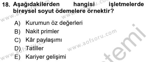 Ücret ve Ödül Yönetimi Dersi 2018 - 2019 Yılı Yaz Okulu Sınavı 18. Soru