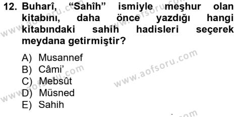 Hadis Tarihi ve Usulü Dersi 2012 - 2013 Yılı (Vize) Ara Sınavı 12. Soru