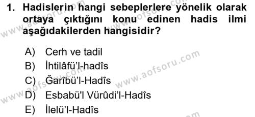 Hadis Tarihi ve Usulü Dersi 2023 - 2024 Yılı Yaz Okulu Sınavı 1. Soru