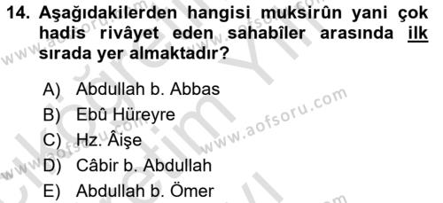 Hadis Tarihi ve Usulü Dersi 2023 - 2024 Yılı Yaz Okulu Sınavı 14. Soru