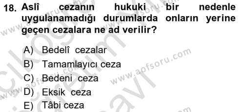 İslam Hukukuna Giriş Dersi 2022 - 2023 Yılı Yaz Okulu Sınavı 18. Soru