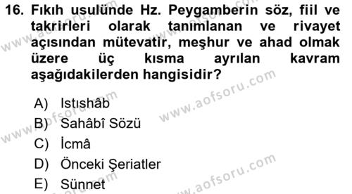 İslam Hukukuna Giriş Dersi 2023 - 2024 Yılı (Vize) Ara Sınavı 16. Soru