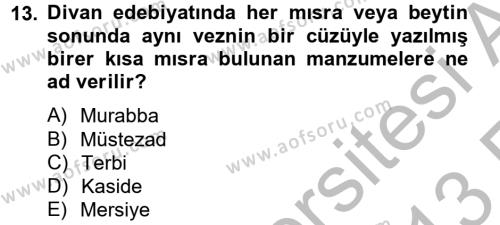 Türk İslam Edebiyatı Dersi 2012 - 2013 Yılı (Vize) Ara Sınavı 13. Soru