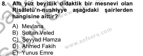 Türk İslam Edebiyatı Dersi 2012 - 2013 Yılı (Final) Dönem Sonu Sınavı 8. Soru