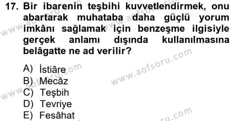 Türk İslam Edebiyatı Dersi 2014 - 2015 Yılı (Vize) Ara Sınavı 17. Soru