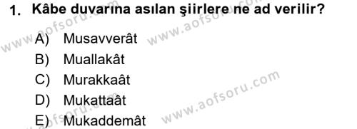 Türk İslam Edebiyatı Dersi 2015 - 2016 Yılı (Vize) Ara Sınavı 1. Soru
