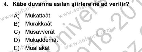 Türk İslam Edebiyatı Dersi 2018 - 2019 Yılı Yaz Okulu Sınavı 4. Soru