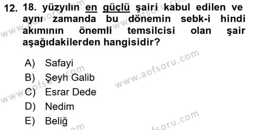 Türk İslam Edebiyatı Dersi 2021 - 2022 Yılı Yaz Okulu Sınavı 12. Soru