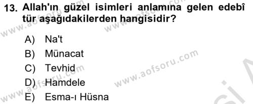 Türk İslam Edebiyatı Dersi 2021 - 2022 Yılı Yaz Okulu Sınavı 13. Soru