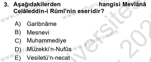 Türk İslam Edebiyatı Dersi 2021 - 2022 Yılı Yaz Okulu Sınavı 3. Soru