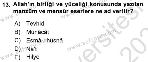 Türk İslam Edebiyatı Dersi 2022 - 2023 Yılı Yaz Okulu Sınavı 13. Soru