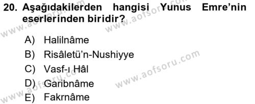 Türk İslam Edebiyatı Dersi 2022 - 2023 Yılı Yaz Okulu Sınavı 20. Soru