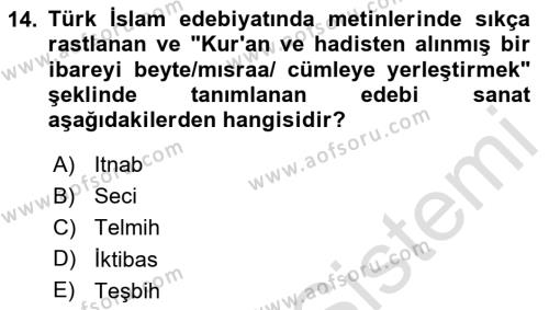 Türk İslam Edebiyatı Dersi 2023 - 2024 Yılı (Vize) Ara Sınavı 14. Soru