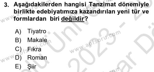 Türk İslam Edebiyatı Dersi 2023 - 2024 Yılı (Vize) Ara Sınavı 3. Soru