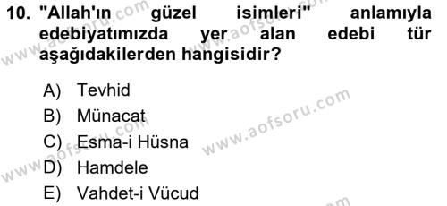 Türk İslam Edebiyatı Dersi 2023 - 2024 Yılı (Final) Dönem Sonu Sınavı 10. Soru