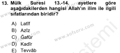 Tefsir Dersi 2018 - 2019 Yılı (Vize) Ara Sınavı 13. Soru