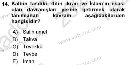 Tefsir Dersi 2021 - 2022 Yılı Yaz Okulu Sınavı 14. Soru