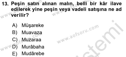 Günümüz Fıkıh Problemleri Dersi 2022 - 2023 Yılı Yaz Okulu Sınavı 13. Soru