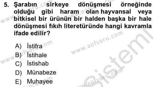 Günümüz Fıkıh Problemleri Dersi 2022 - 2023 Yılı Yaz Okulu Sınavı 5. Soru