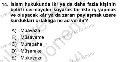 Günümüz Fıkıh Problemleri Dersi 2023 - 2024 Yılı (Final) Dönem Sonu Sınavı 14. Soru