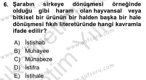 Günümüz Fıkıh Problemleri Dersi 2023 - 2024 Yılı Yaz Okulu Sınavı 6. Soru