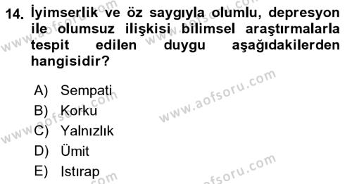 Din Psikolojisi Dersi 2018 - 2019 Yılı (Vize) Ara Sınavı 14. Soru