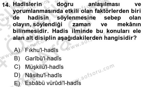 Hadis Dersi 2023 - 2024 Yılı (Vize) Ara Sınavı 14. Soru