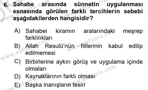 Hadis Dersi 2023 - 2024 Yılı Yaz Okulu Sınavı 6. Soru