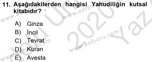 Yaşayan Dünya Dinleri Dersi 2020 - 2021 Yılı Yaz Okulu Sınavı 11. Soru