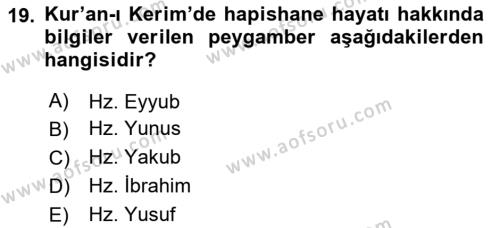 Din Eğitimi ve Din Hizmetlerinde Rehberlik Dersi 2020 - 2021 Yılı Yaz Okulu Sınavı 19. Soru