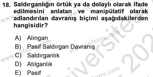 Bireylerarası İletişim Dersi 2024 - 2025 Yılı (Vize) Ara Sınavı 18. Soru