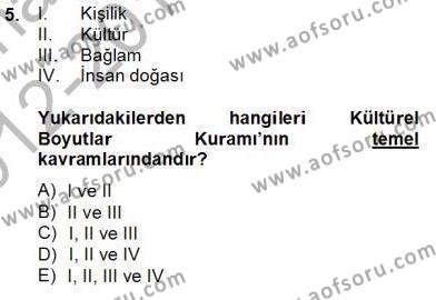 Kültürlerarası İletişim Dersi 2012 - 2013 Yılı (Final) Dönem Sonu Sınavı 5. Soru