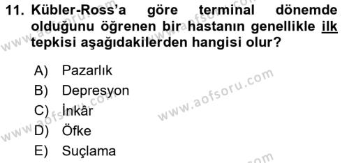 Sağlık Kurumlarında İletişim Dersi 2023 - 2024 Yılı Yaz Okulu Sınavı 11. Soru