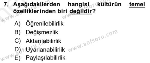 Küreselleşme ve Kültürlerarası İletişim Dersi 2018 - 2019 Yılı (Vize) Ara Sınavı 7. Soru