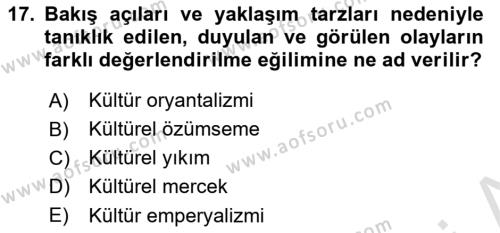 Küreselleşme ve Kültürlerarası İletişim Dersi 2020 - 2021 Yılı Yaz Okulu Sınavı 17. Soru