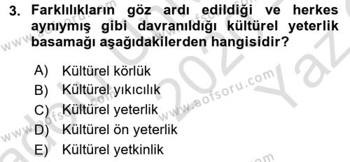 Küreselleşme ve Kültürlerarası İletişim Dersi 2020 - 2021 Yılı Yaz Okulu Sınavı 3. Soru