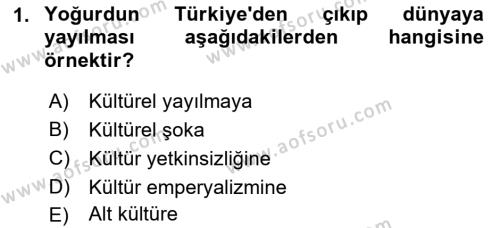 Küreselleşme ve Kültürlerarası İletişim Dersi 2021 - 2022 Yılı (Final) Dönem Sonu Sınavı 1. Soru