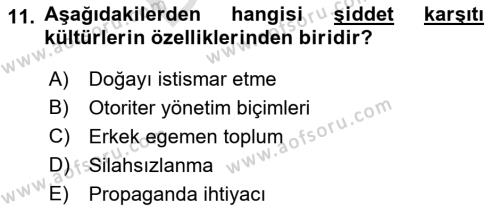 Küreselleşme ve Kültürlerarası İletişim Dersi 2021 - 2022 Yılı (Final) Dönem Sonu Sınavı 11. Soru